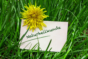 Naturheilkunde