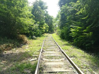 Fototapeta premium railway in the forest