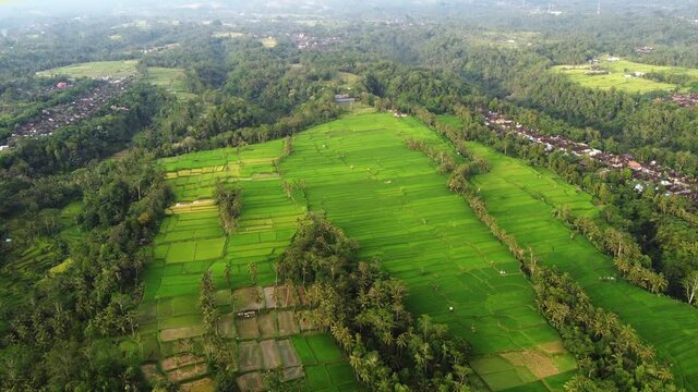 aerial view of ubud spiritual village in bali island indonesia with green jungle rice field tropical paradise