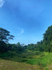 Obraz premium Green Corridor