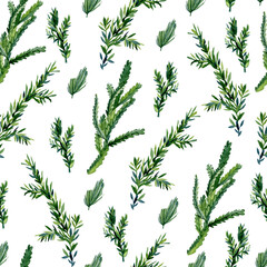 Watercolor evergreen christmas seamless pattern with fir twigs and foliage branch, winter floral for to the textile fabric, wallpaper decor, wrapping paper, scrapbook paper