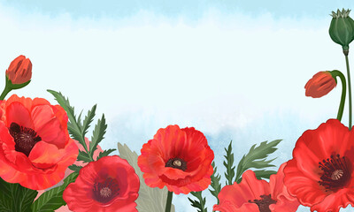 Hand drawn poppies with a blue background