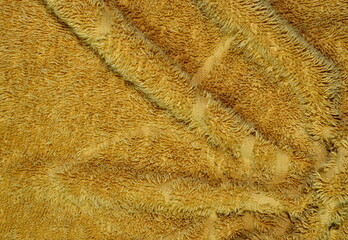 texture background cream colored towels
