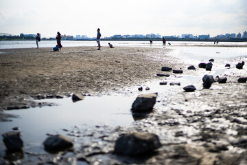 Naklejka na ściany i meble japan landscapes