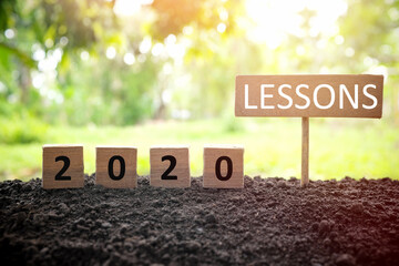 Life lessons and learnings from the year 2020 concept. A tree branch with a single remaining last...