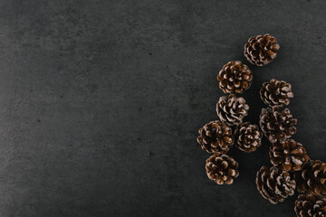 Group of pine cones spread on dark slate texture