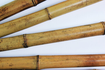 Yellow bamboo on white isolated background