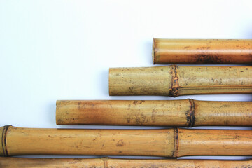 Yellow bamboo on white isolated background
