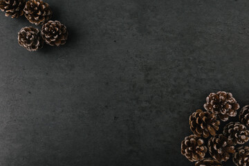 Group of pine cones spread on dark slate texture