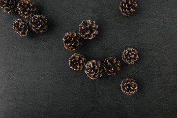 Group of pine cones spread on dark slate texture