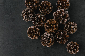 Group of pine cones on dark slate texture