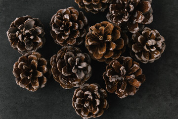 Group of pine cones on dark slate texture