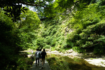 japan river forest