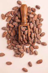 Cocoa beans in a wooden scoop on a pink background. Cocoa product.