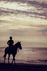 boy riding a horse backlight in sand water beach waves sunset ecuador montañita latin america
