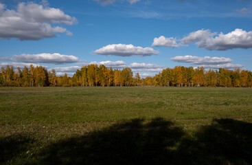 Early autumn in the forest