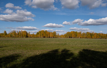 Early autumn in the forest