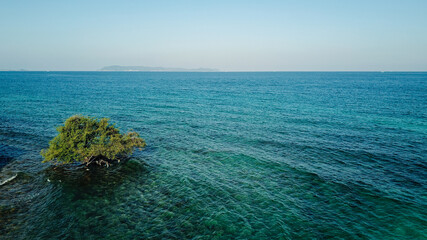 Photo of the famous Thailand sea beach called Koh larn Pattaya city Thailand
