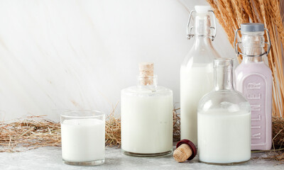 Obraz na płótnie Canvas dairy products milk sour cream cream