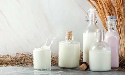 splash dairy products milk sour cream cream