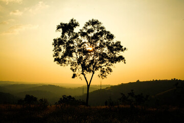 Fototapeta na wymiar Mountain valley during sunrise. Natural summer landscape