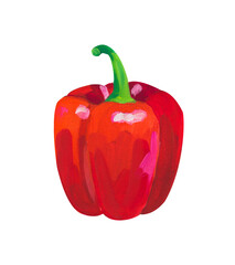 red paprika. Hand drawn acrylic or gouache illustration on white