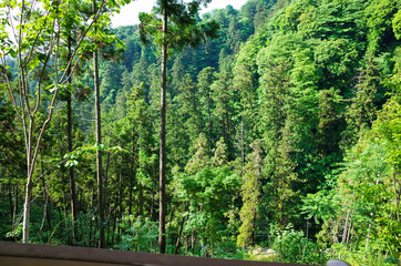 Fototapeta premium japan mountain