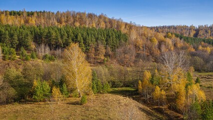 autumn expanses of Russia taken from a height