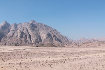 arabian desert