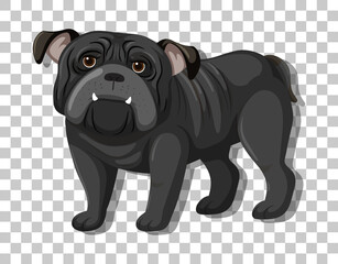 Black bulldog in standing position cartoon character isolated on transparent background