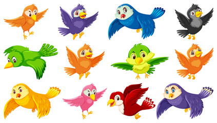 Set of bird cartoon character