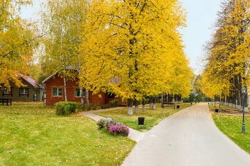 Autumn landscape middle stripe of Russia