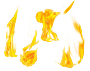 Fire flames isolated on White background