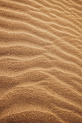 Fototapeta na wymiar Sand on the beach of the Caspian Sea