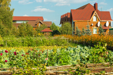 Beautifully decorated corner of nature with a garden