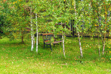 Beautiful bench among the trees in autumn