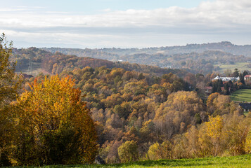 Obraz premium Trees with golden autumn foliage in sunny day. Colorful autumn landscape.