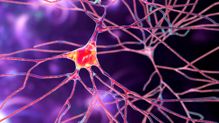 Neurons, brain cells, located in the temporal lobe of the human brain