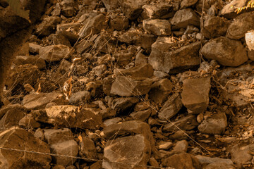 Spiderweb in dry riverbed.