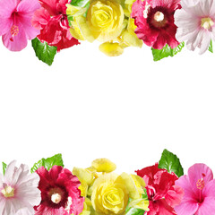 Beautiful flower frame made of hibiscus, begonia and mallow. Isolated