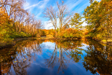 Fototapeta na wymiar Captain Daniel Wright Woods Forest Preserve autumn view in Illinois