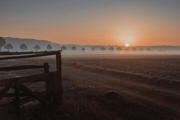 Obraz premium sunset over the field