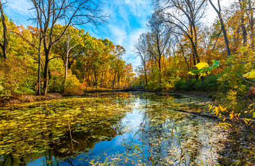 Captain Daniel Wright Woods Forest Preserve autumn view in Illinois