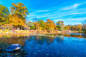 Captain Daniel Wright Woods Forest Preserve autumn view in Illinois