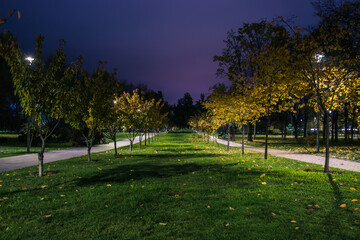 The teiled road in the night park with lanterns in autumn. Benches in the park during the autumn...