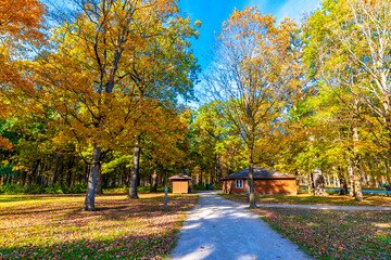 Captain Daniel Wright Woods Forest Preserve autumn view in Illinois