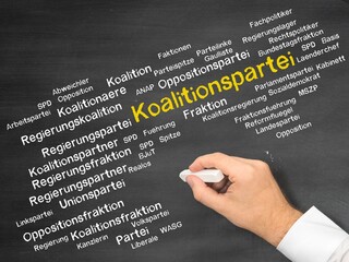 Koalitionspartei