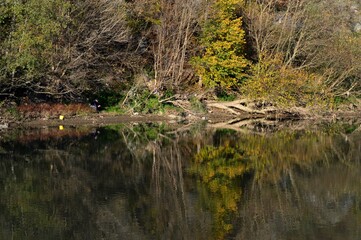 Fototapeta na wymiar reflection in the river in autumn