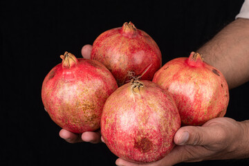 4 large red pomegranate in human hands