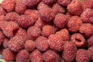 Freshly picked raspberry closeup. Healthy eating concept.